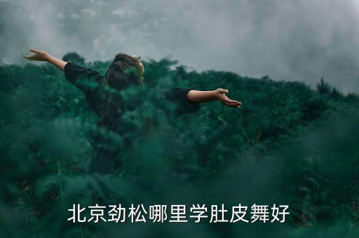 北京劲松哪里学肚皮舞好