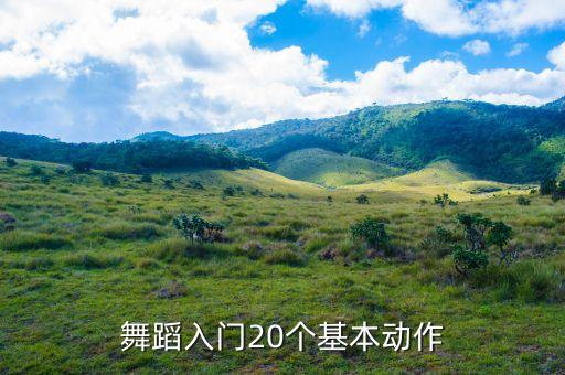 舞蹈入门20个基本动作