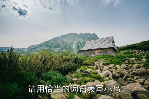 学写广语 小鸟怎么写，请用恰当的词语表写小鸟
