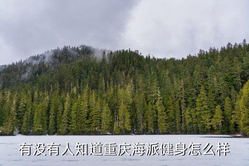 有没有人知道重庆海派健身怎么样