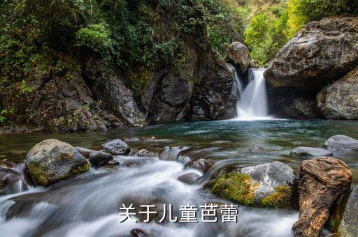 儿童芭蕾舞学什么，少儿芭蕾基本功可以自己练习的有哪些