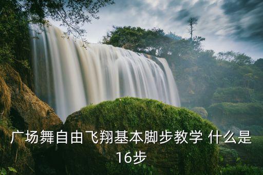 广场舞自由飞翔基本脚步教学 什么是16步