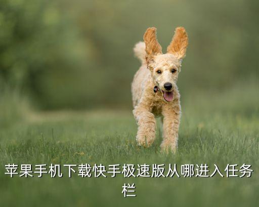 苹果手机下载快手极速版从哪进入任务栏