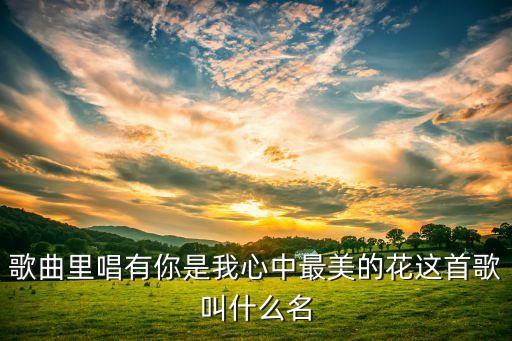歌曲里唱有你是我心中最美的花这首歌叫什么名