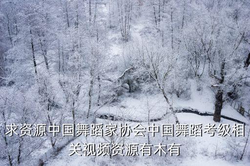 求资源中国舞蹈家协会中国舞蹈考级相关视频资源有木有