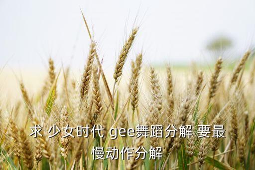 eiei舞蹈慢动作一步一步教我，求 少女时代 gee舞蹈分解 要最慢动作分解