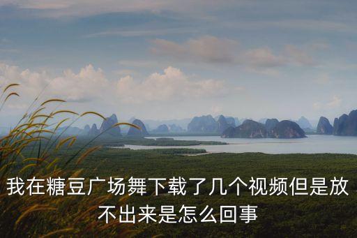 糖豆广场舞怎么看不了，糖豆广场舞app ipad上能播放吗