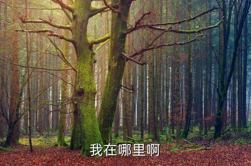 我在哪里广场舞，我在哪里啊