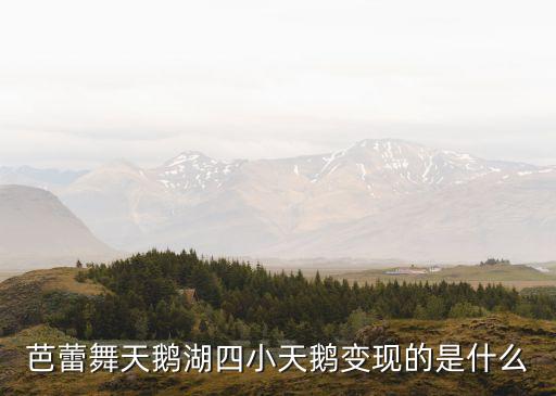 芭蕾舞天鹅湖四小天鹅变现的是什么