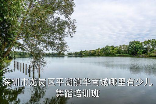 深圳市龙岗区平湖镇华南城哪里有少儿舞蹈培训班