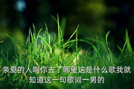 亲爱的人啊你去了哪里这是什么歌我就知道这一句歌词一男的
