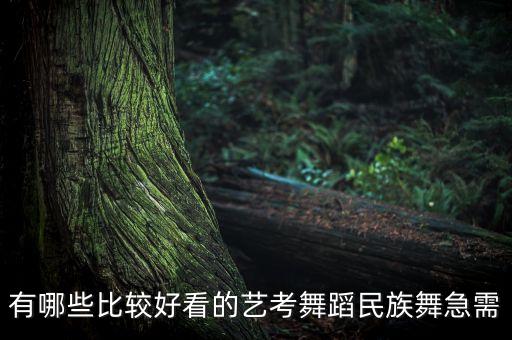 有哪些比较好看的艺考舞蹈民族舞急需