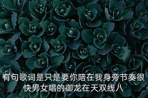 有句歌词是只是要你陪在我身旁节奏很快男女唱的御龙在天双线八