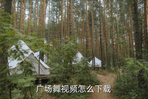 广场舞大视频如何下载，广场舞如何下载到优盘