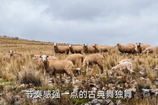 有什么舞蹈，拉丁舞和摩登舞各包括哪些舞