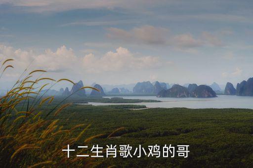 十二生肖歌小鸡的哥