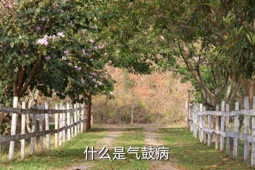 鼓蹈症是什么病，什么是气鼓病