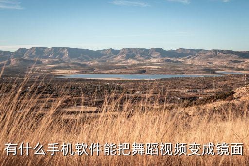 舞蹈视频转换成镜面，有什么手机软件能把舞蹈视频变成镜面