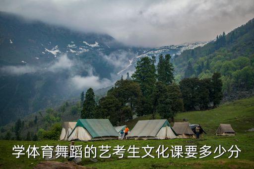 舞蹈艺体生过线分数，舞蹈科艺术生高考省分数线是多少分