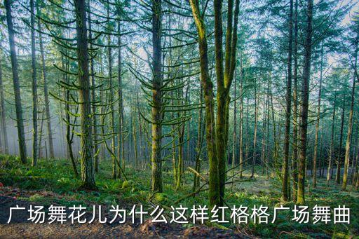 广场舞花儿为什么这样红格格广场舞曲