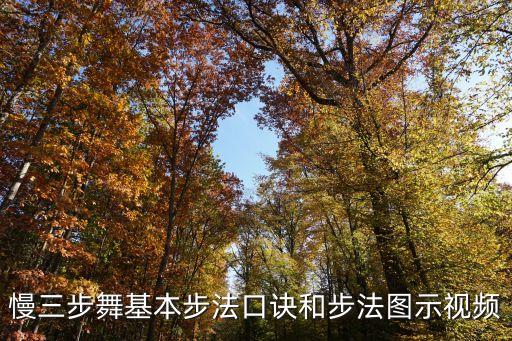 慢三舞蹈视频，求视频学跳交谊舞慢三我看了徐喜文和李秀英教得很好我想学在哪里