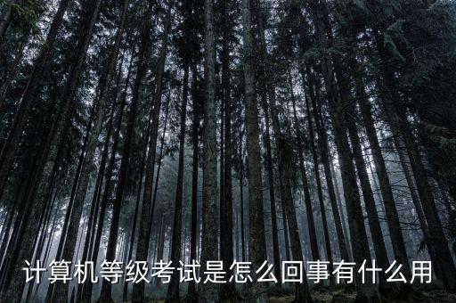 计算机等级考试是怎么回事有什么用
