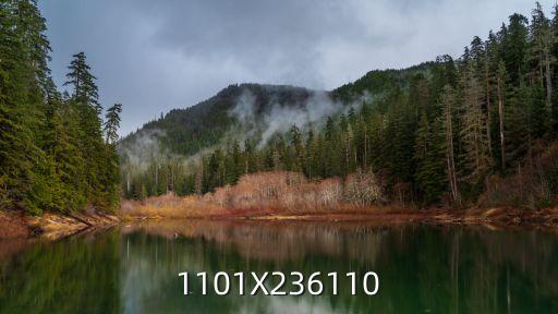1101X236110