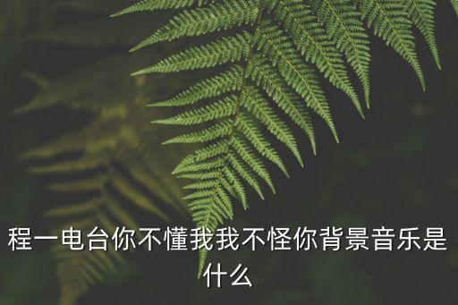 你不懂我 我不见怪是什么歌，亲爱的 你不懂我 我不怪你 都怪现实太残酷 这是什么歌里的歌词