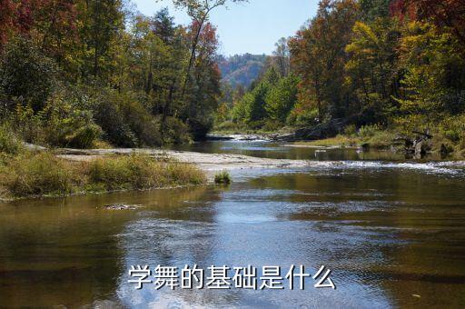 学舞的基础是什么