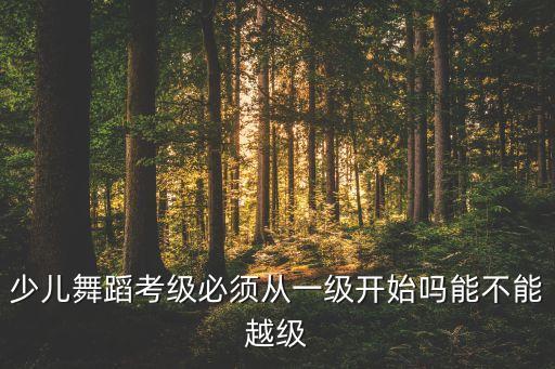 小孩子舞蹈考级可以跳级吗，少儿舞蹈考级必须从一级开始吗能不能越级