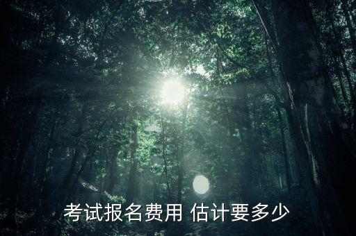 考试报名费用 估计要多少
