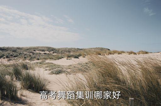 高考舞蹈集训哪家好