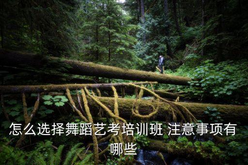 怎么选择舞蹈艺考培训班 注意事项有哪些