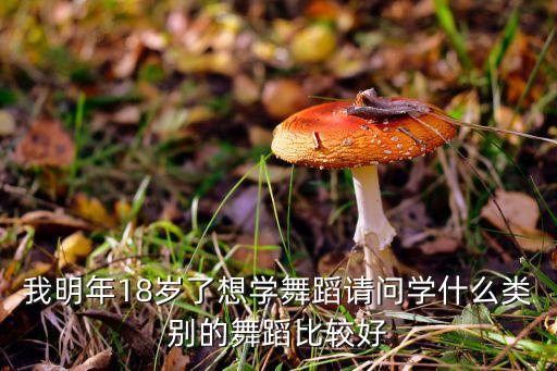 我明年18岁了想学舞蹈请问学什么类别的舞蹈比较好