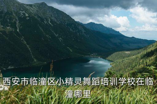 西安市临潼区小精灵舞蹈培训学校在临潼哪里