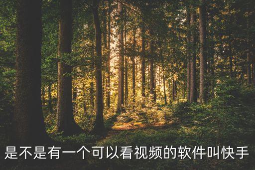 是不是有一个可以看视频的软件叫快手