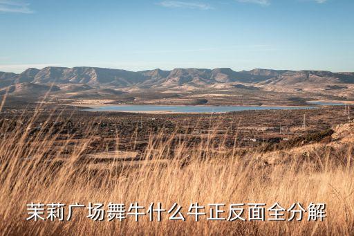 茉莉广场舞牛什么牛正反面全分解