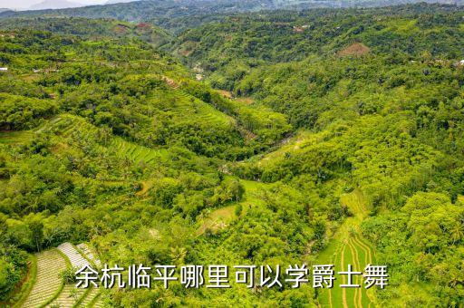 余杭临平哪里可以学爵士舞
