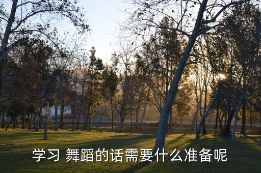 学舞蹈准备什么，学习 舞蹈的话需要什么准备呢