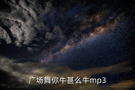 广场舞你牛甚么牛mp3
