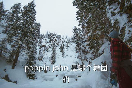 韩舞男团是什么舞，poppin john 是哪个舞团的
