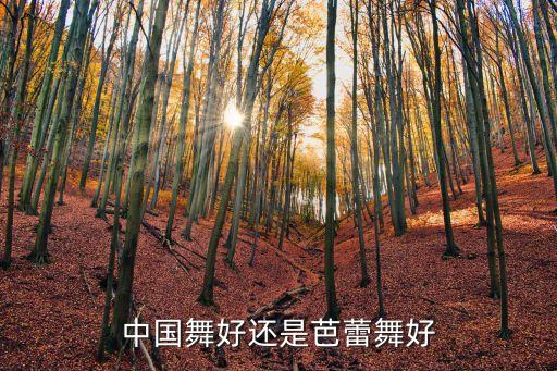 中国舞好还是芭蕾舞好