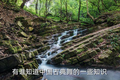 有谁知道中国古典舞的一些知识