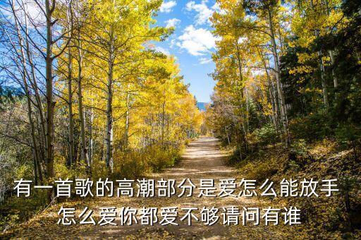 有一首歌的高潮部分是爱怎么能放手 怎么爱你都爱不够请问有谁