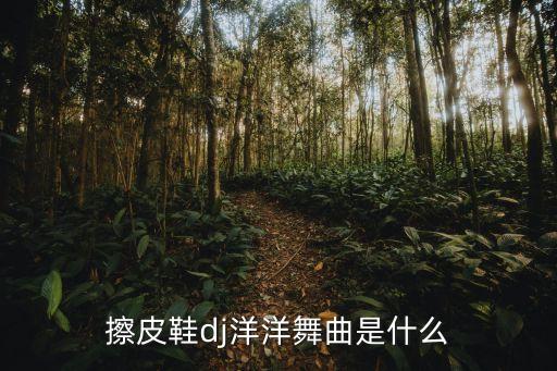 擦皮鞋dj洋洋舞曲是什么