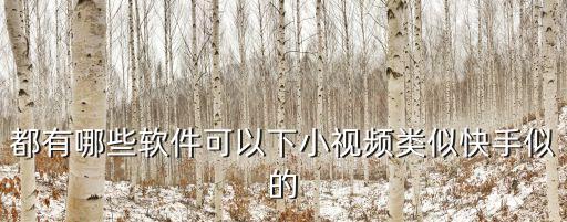 都有哪些软件可以下小视频类似快手似的