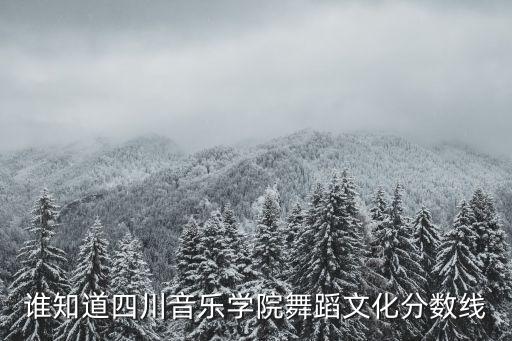 四川省舞蹈分数线是多少，谁知道四川音乐学院舞蹈文化分数线