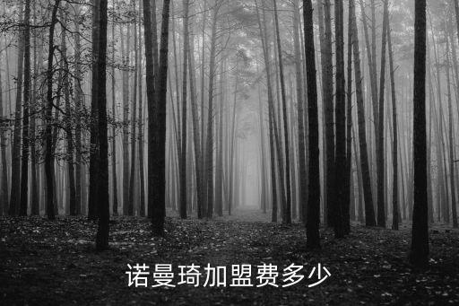 诺曼琦加盟费多少