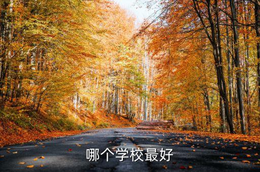 哪个学校最好