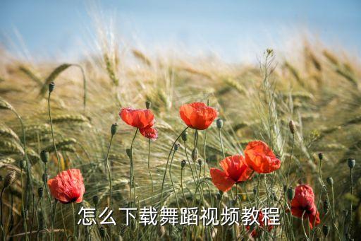 怎么下载舞蹈视频教程